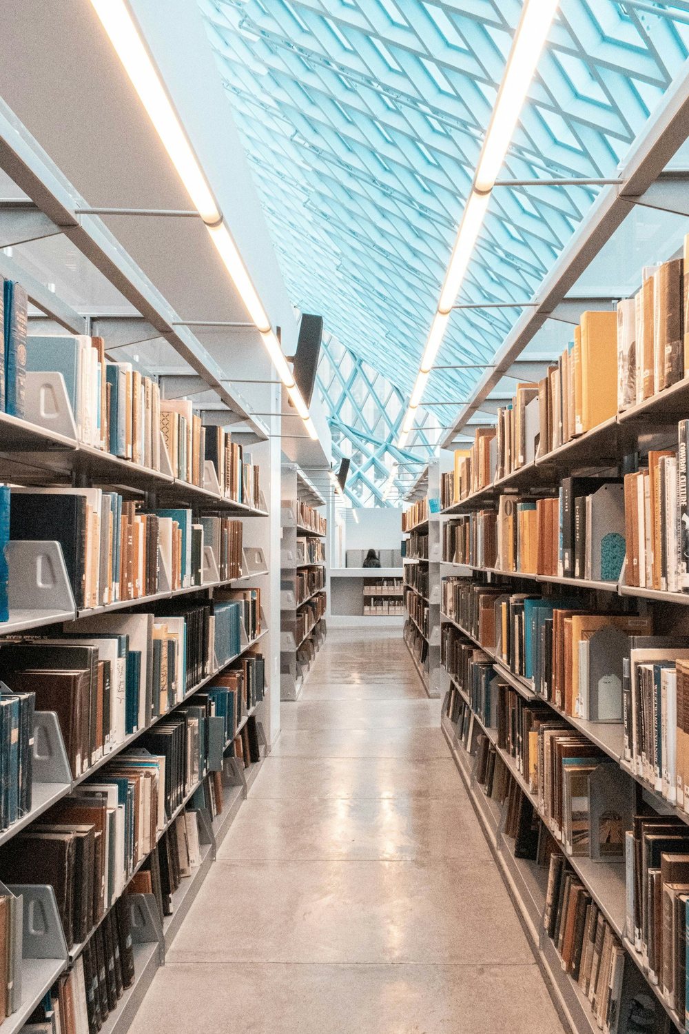 Library shelves